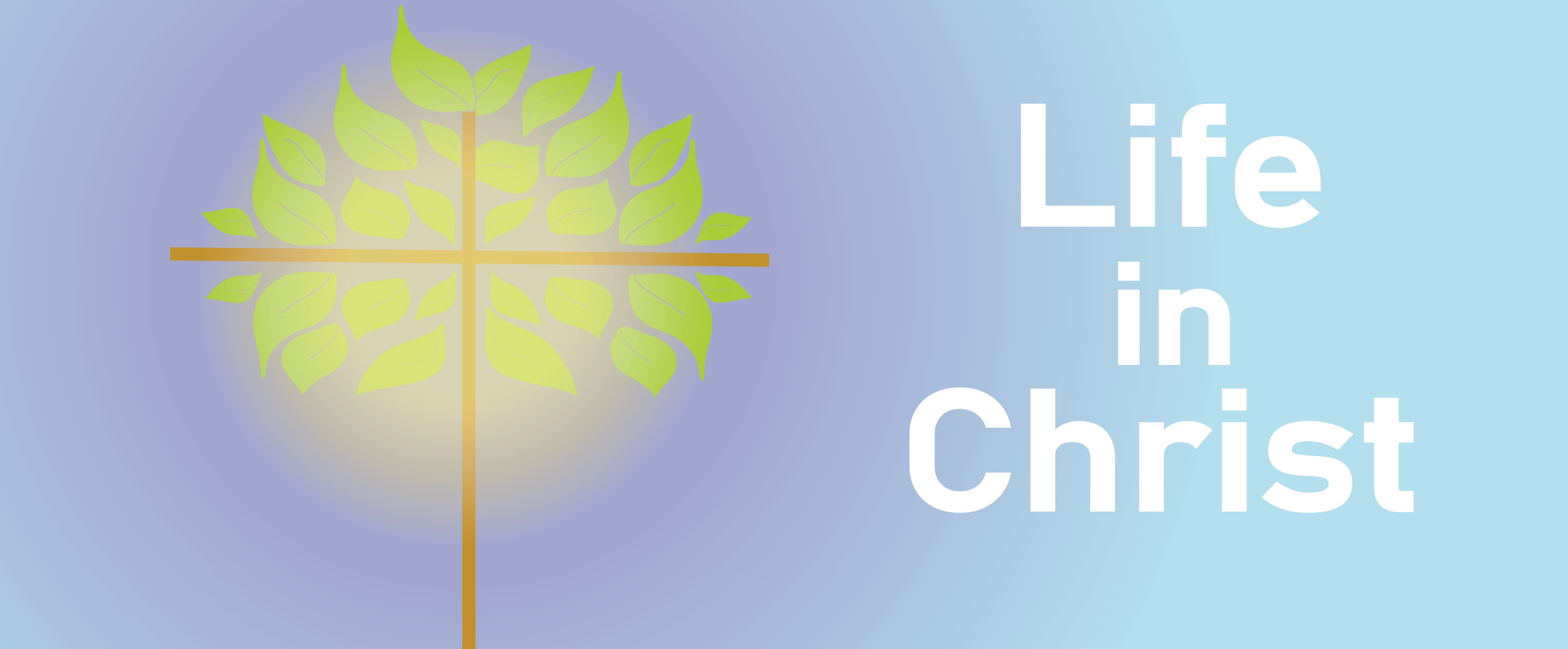 Life In Christ Banner v3